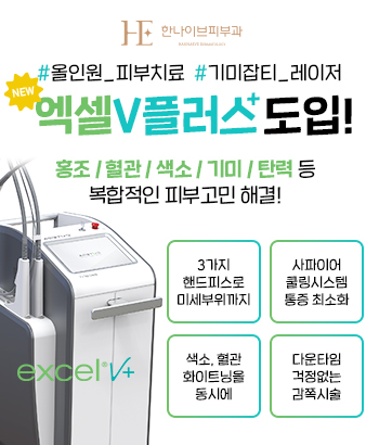 엑셀브이플러스도입