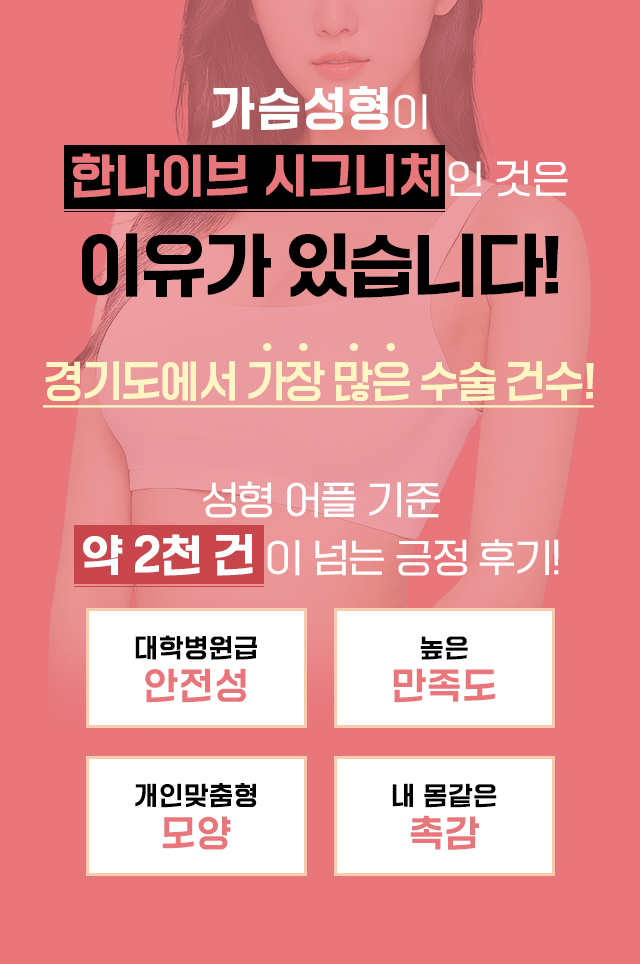한나이브의시그니처,가슴성형